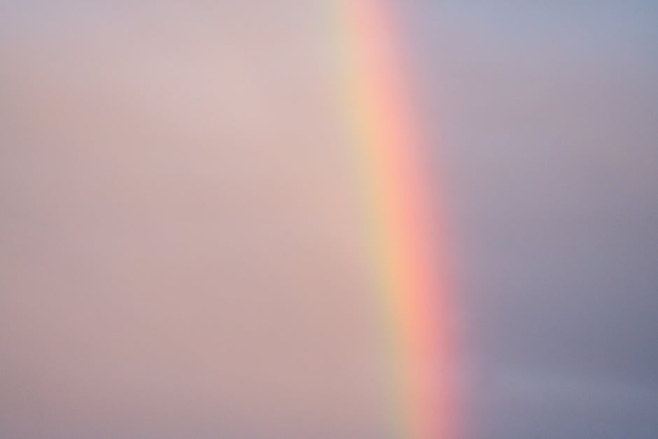 Wettervorhersage für Freiburg heute