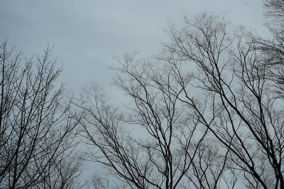  Wettervorhersage heute in Herne