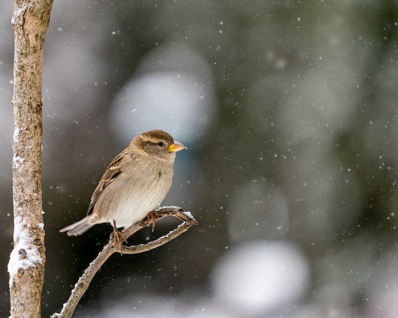 Wettervorhersage für Side heute