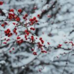 Wettervorhersage heute in Altenburg