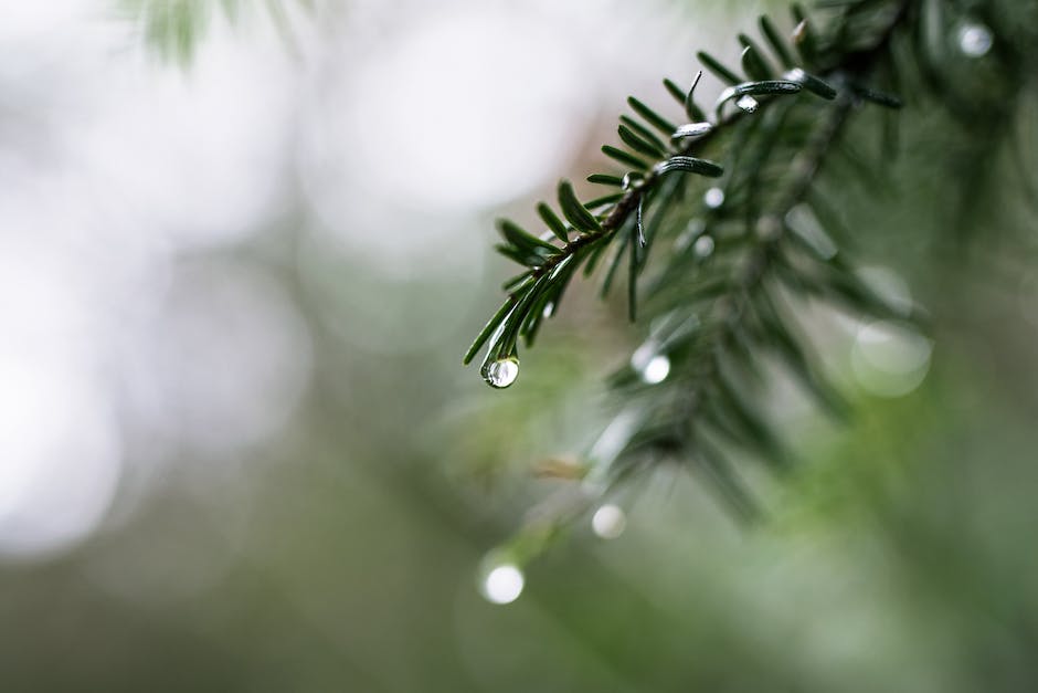  Wettervorhersage heute in Bad Füssing