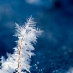 Dresdner Wettervorhersage Heute