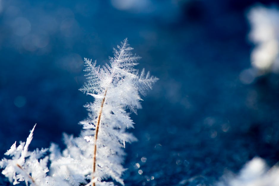 Dresdner Wettervorhersage Heute