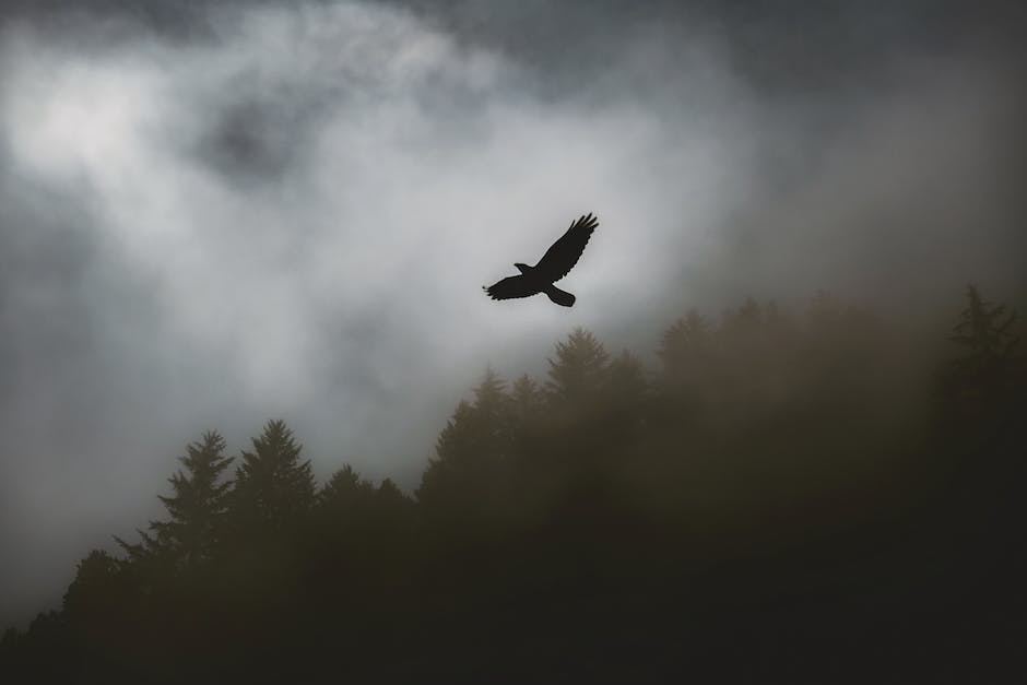  Wettervorhersage nächste Woche in der Schweiz